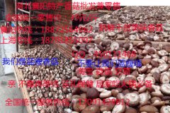 �����㹽������-�����ݹ�����Զ�����ݣ�